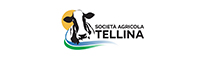 Tellina
